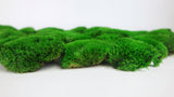 Mousse boule stabilisée - Boîte - Vert