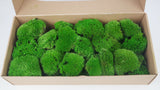Mousse boule stabilisée - Boîte - Vert printemps