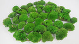 Mousse boule stabilisée - Boîte - Vert printemps