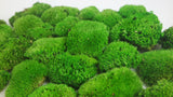 Mousse boule stabilisée - Boîte - Vert printemps