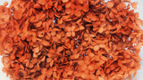 Hortensia stabilisé Anna - 1 tête - Terracotta