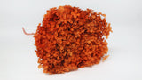 Hortensia stabilisé Anna - 1 tête - Terracotta