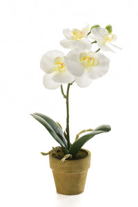Orquídea artificial - 1 maceta - color crema