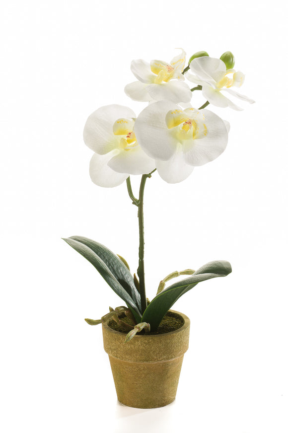 Orquídea artificial - 1 maceta - color crema