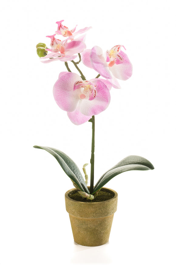 Orquídea artificial - 1 maceta - Rosa