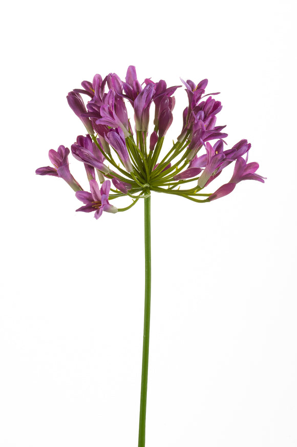 Agapanthus künstlich - 1 Stiel - Lila