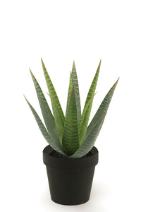 Aloe vera künstlich - 1 Topf - Grün
