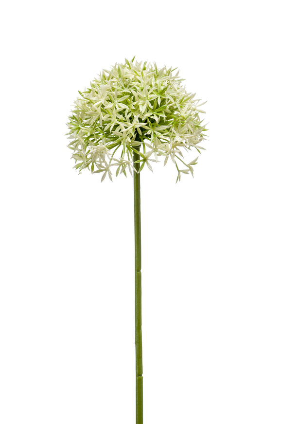 Allium künstlich - 1 Stiel - Creme/grün