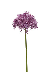 Allium künstlich - 1 Stiel - Violett