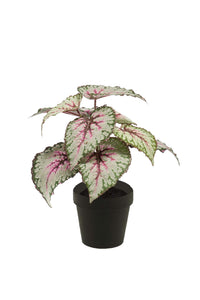 Begonia de hojas artificiales - 1 maceta - verde/gris/rosa