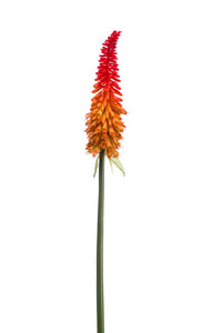 Kniphofia künstlich - 1 Stiel - Orange/rot