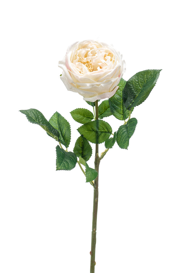 Rosa inglesa artificial - 1 tallo - crema