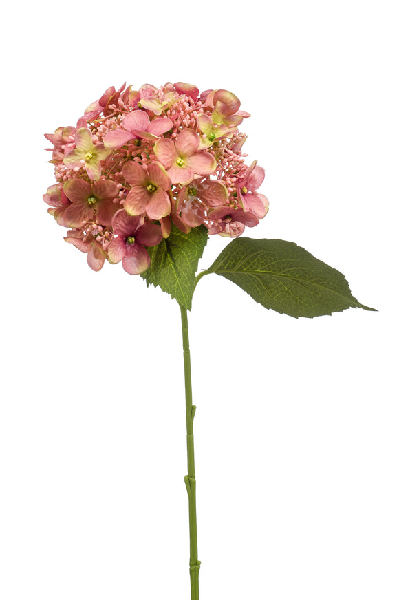 Hortensia artificiel - 1 tête - Rose vintage