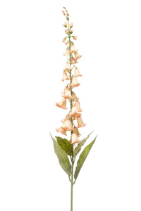 Glockenblume künstlich - 1 Stiel - Pfirsich