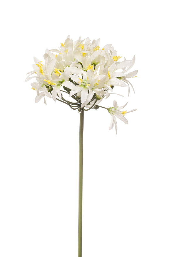 Agapanthe artificielle - 1 tige - Blanc