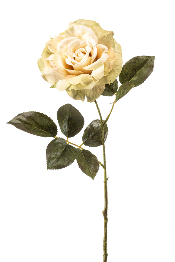 Rosa Pascal artificial - 1 tallo - crema