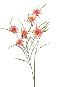 Aquilegia künstlich - 1 Stiel - Pfirsich