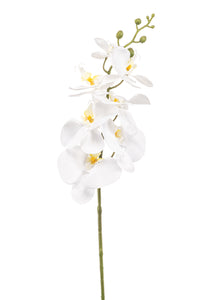 Orquídea artificial - 1 tallo - blanca