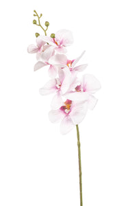 Orchidée artificielle - 1 tige - Rose
