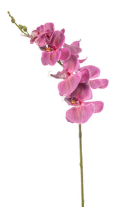 Artificial orchid - 1 stem - Fuchsia