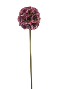 Escabiosa artificial - 1 tallo - Rojo fucsia