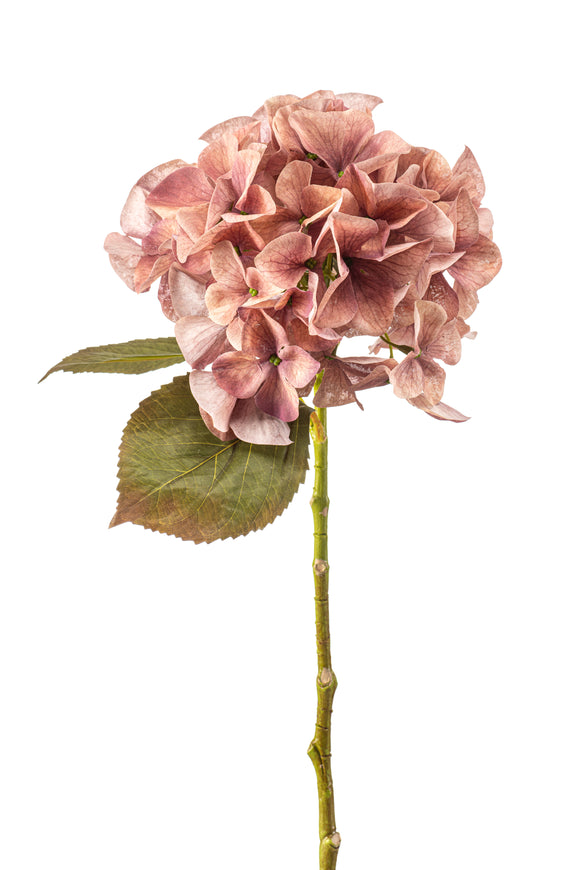Hortensia artificial - 1 cabeza - rosa vintage