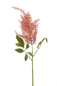 Astilbe artificial - 1 tallo - Coral