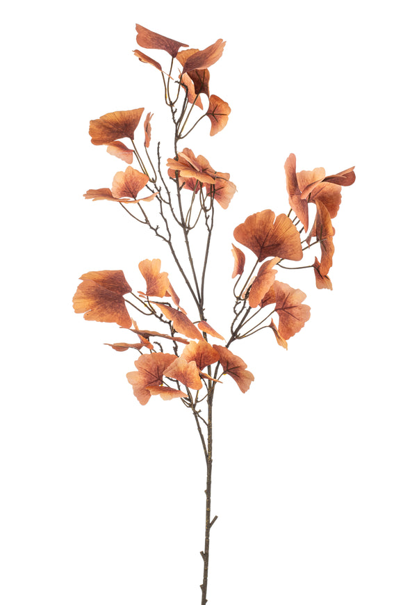 Ginkgo artificial - 1 rama - Coral