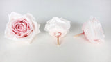 Rose stabilizzate Avalanche Earth Matters - 3 teste - Champagne Pink 131