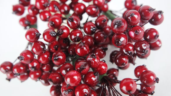 Berry cluster on stem - 1 Bund - Rot