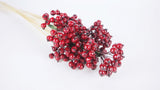 Berry cluster sur tige - 1 botte - Rouge