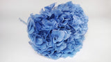 Hortensia stabilisé Extra - 1 tête - Bleu