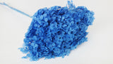 Hortensia preservada Anna - 1 cabeza - Azul