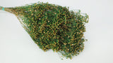 Escoba Bloom seca - 1 ramo - color natural