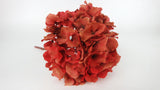 Hortensia stabilisé - 1 tête - Corail