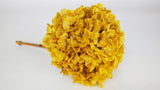Preserved hydrangea - 1 head - Curry yellow