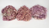Preserved hydrangea Anna - 1 head - Glycine