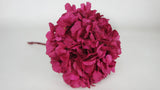 Preserved hydrangea - 1 head - Fuchsia