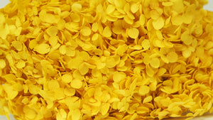 Hortensia preservada Anna - 1 cabeza - Amarilla