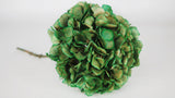 Dried hydrangea - 1 head - Green
