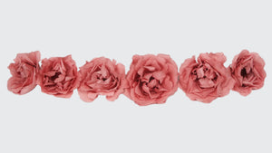 Roses stabilisées Majolica Earth Matters - 6 têtes - Bon bon pink 171