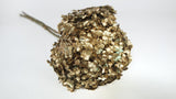 Ortensia stabilizzata Anna - 1 testa - oro antico