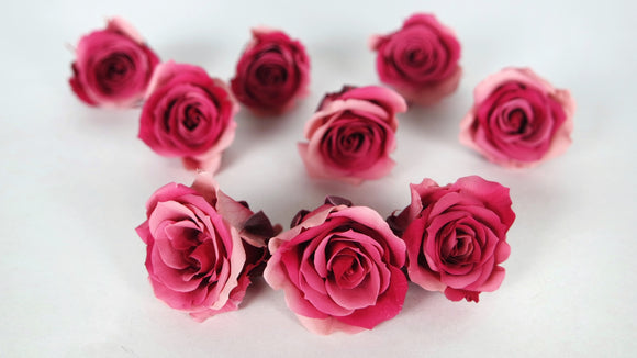 Izumi Soufflé Earth Matters - 9 Teste - Rosa Rubino 182