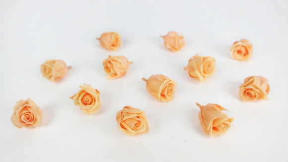 Roses stabilisées Kiara 2 cm - 12 têtes - Perfect peach