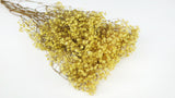 Preserved gypsophila - 1 bunch - Sunny yellow