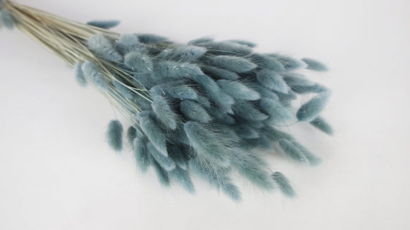 Lagures séchées - 1 botte - Bleu gris