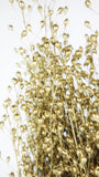 Lepidium Atraxa - 1 Bund - Gold