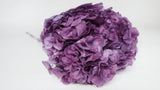 Hortensia Preservada Extra - 1 Cabeza - Púrpura
