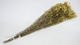 Dried limonium - 1 bunch - Natural colour yellow