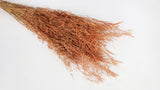 Munni - 1 Bund - Terracotta